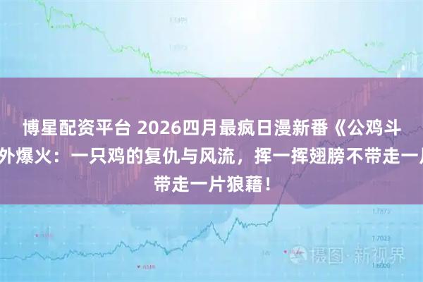 博星配资平台 2026四月最疯日漫新番《公鸡斗士》意外爆火：一只鸡的复仇与风流，挥一挥翅膀不带走一片狼藉！