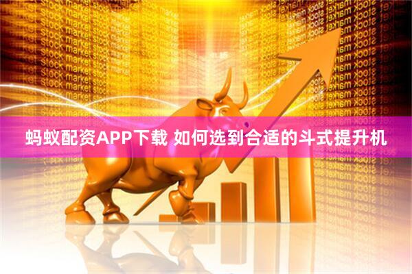 蚂蚁配资APP下载 如何选到合适的斗式提升机